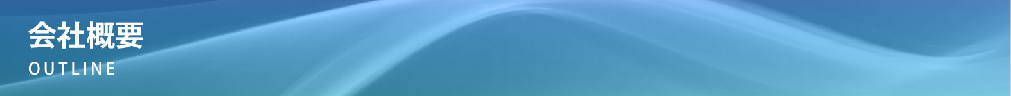 概要
